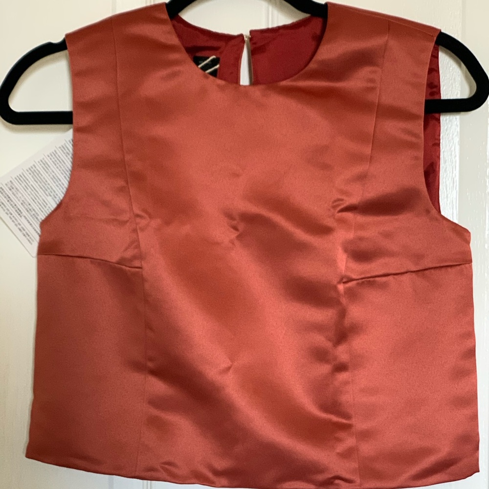 Pinko silk crop top